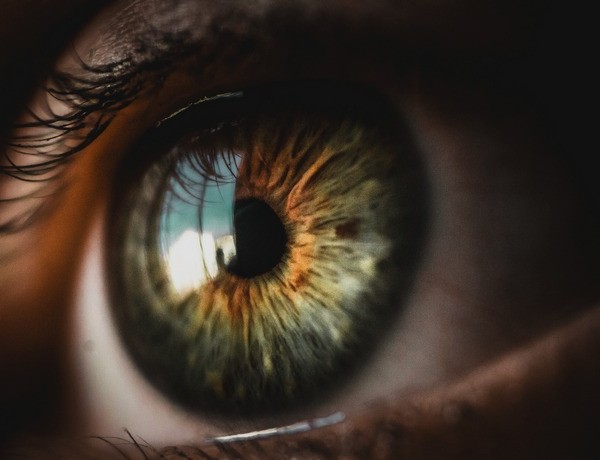Irisdiagnostika Diagnostika z dúhovky oka